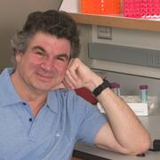 Allen Tannenbaum, PhD