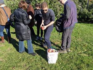 Lab apple picking 2021 image 7