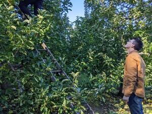 Lab apple picking 2021 image 6