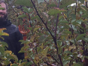 Apple Picking at Smolak Farms Image 13