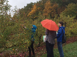 Apple Picking at Smolak Farms image 15