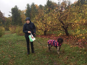 Apple Picking at Smolak Farms image 5