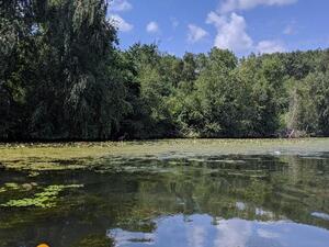Lab Kayaking Trip Summer 2019 image 14