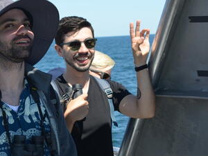 lab whale watching image 11