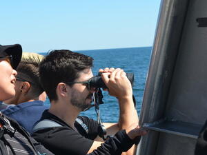 lab whale watching image 12
